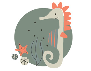 Kolekce Bébé-Jou Oceán Vibes