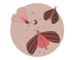 Kolekce Bébé-Jou Sweet Butterfly